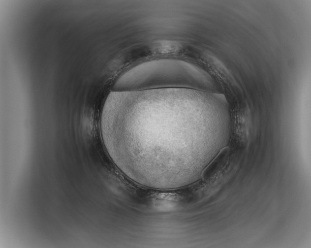 X0000112810324200909181555