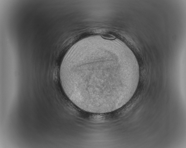X0000112810325200909181555