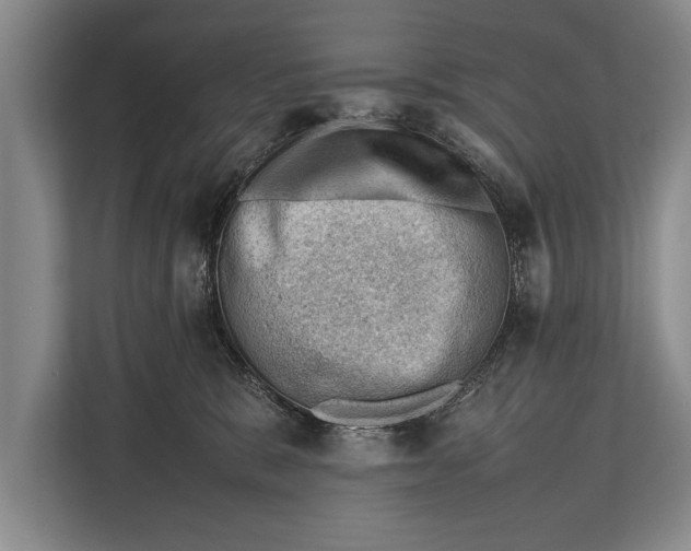 X0000112810327200909181555