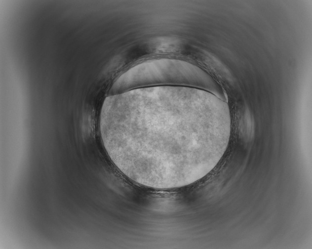 X0000112810328200909181555