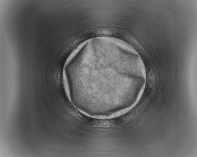 X0000112810330200909181555