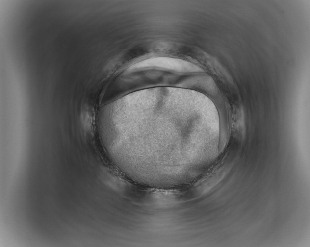 X0000112810332200909181555