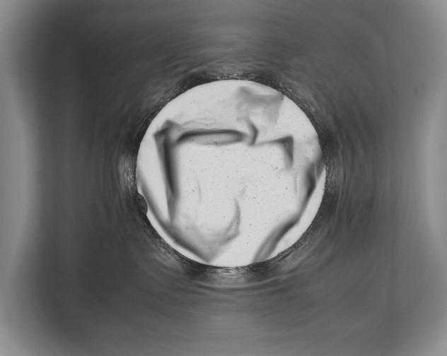 X0000112810335200909181555