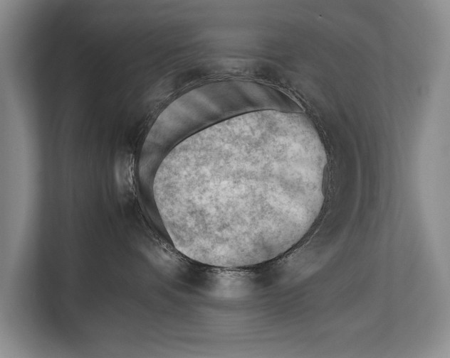 X0000112810336200909181555