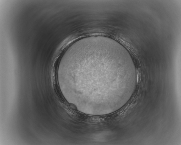 X0000112810339200909181554