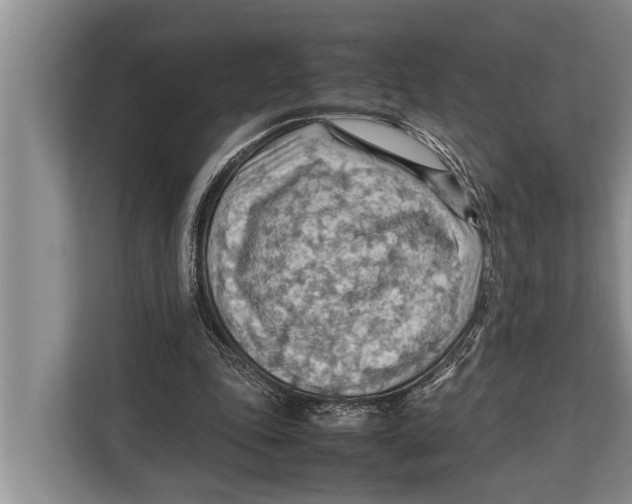 X0000112810343200909181554