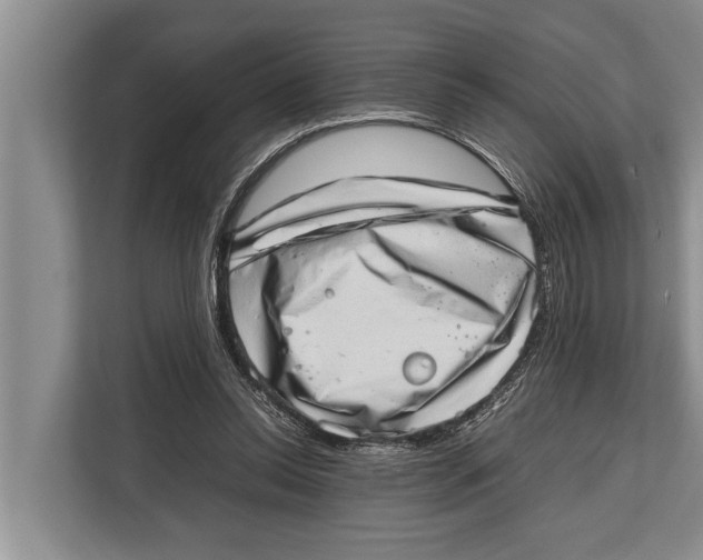 X0000112810350200909181555