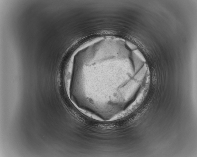 X0000112810351200909181555
