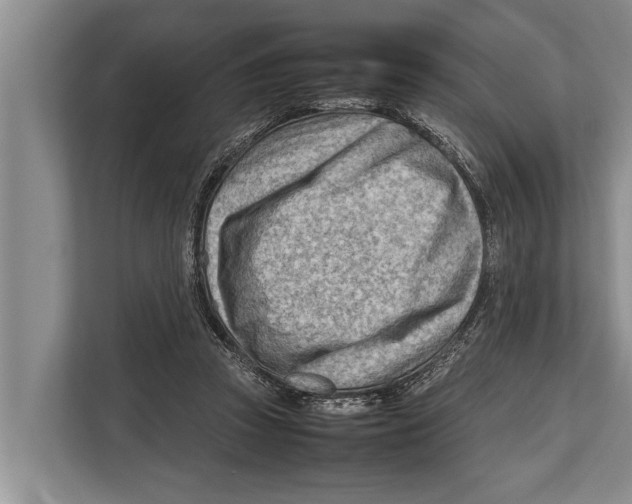 X0000112810353200909181555