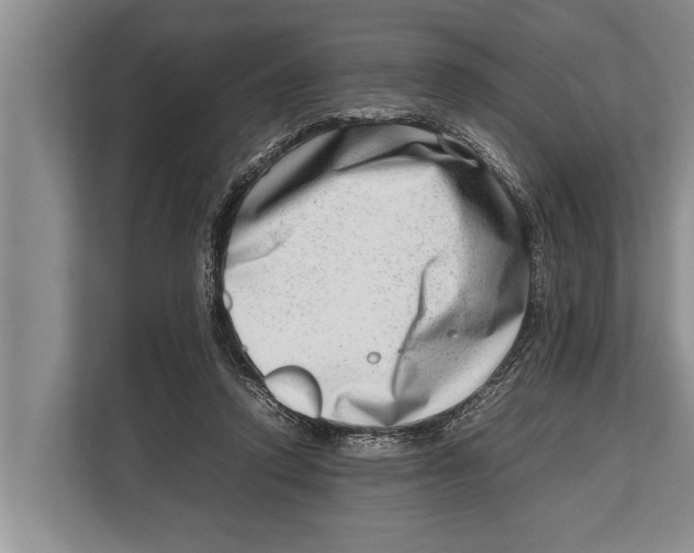 X0000112810354200909181555