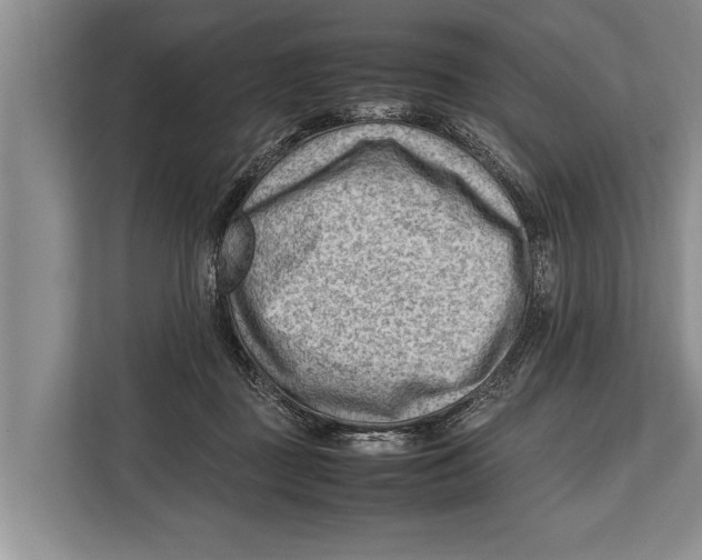X0000112810363200909181555