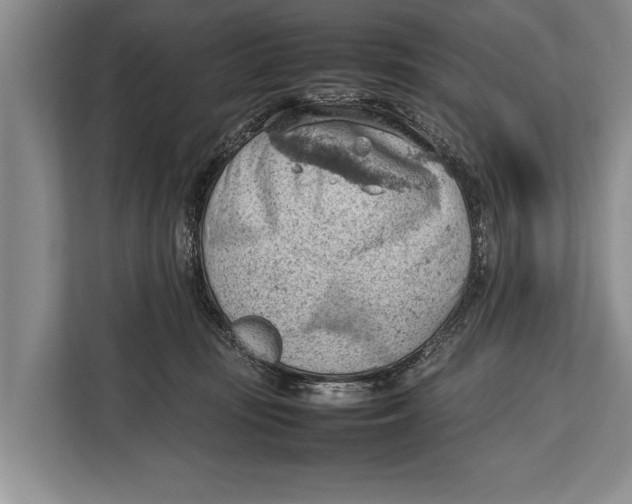 X0000112810371200909181555