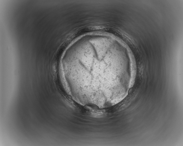 X0000112810373200909181555