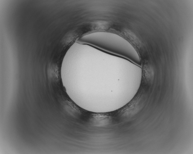 X0000112810380200909181555