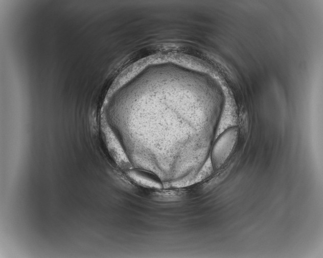 X0000112810381200909181555