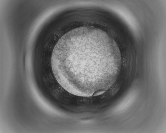 X0000112810383200909181555