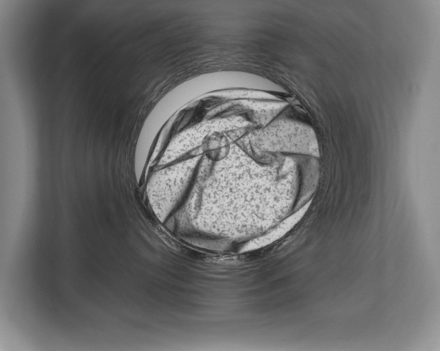 X0000112810384200909181555