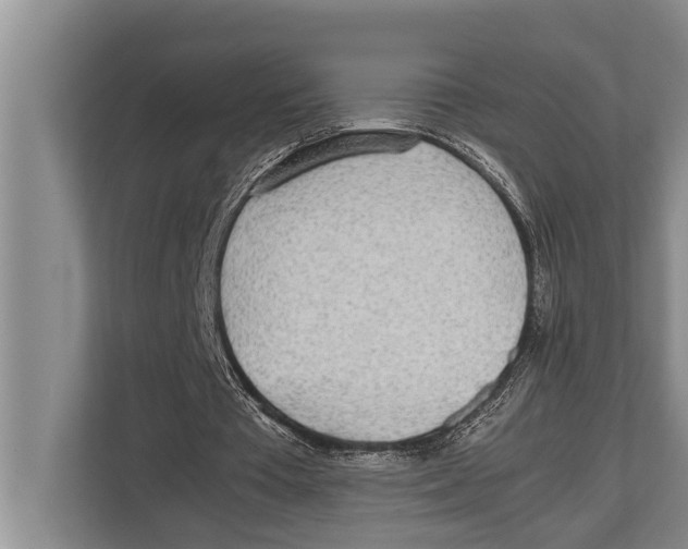 X0000112810385200909181554