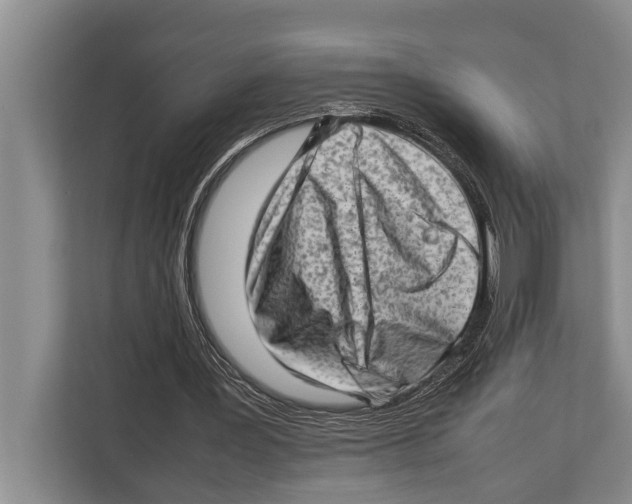 X0000112810387200909181554