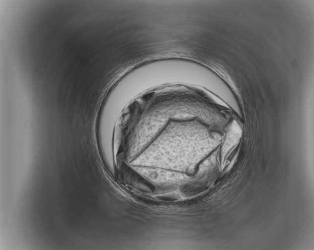 X0000112810389200909181554