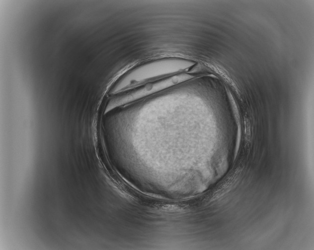 X0000112810390200909181554