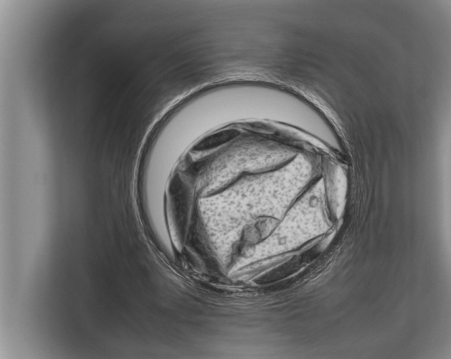 X0000112810391200909181554