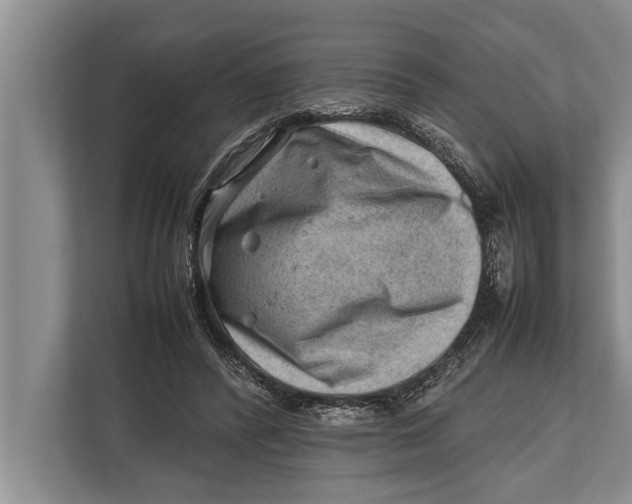 X0000112810400200909181554
