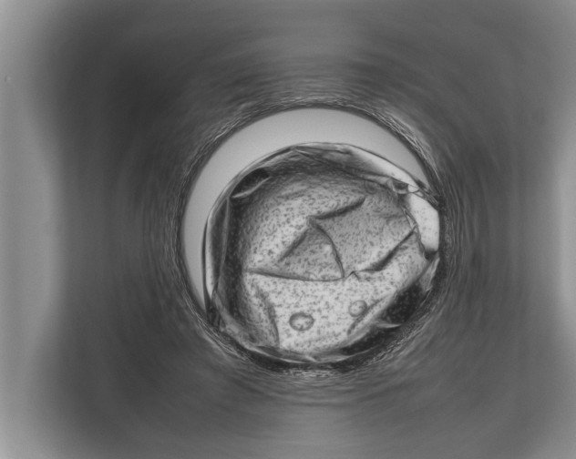 X0000112810401200909181554