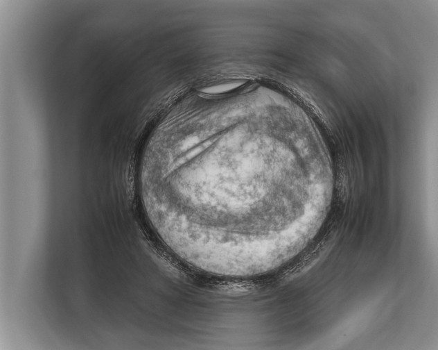 X0000112810402200909181554