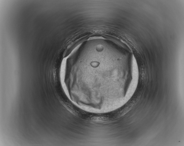 X0000112810408200909181554