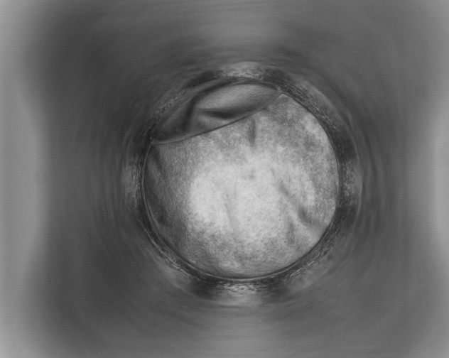 X0000112810409200909181554