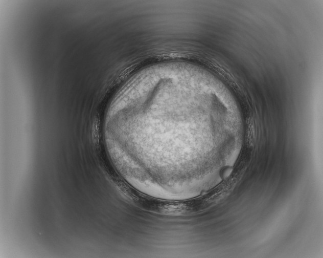 X0000112810410200909181554