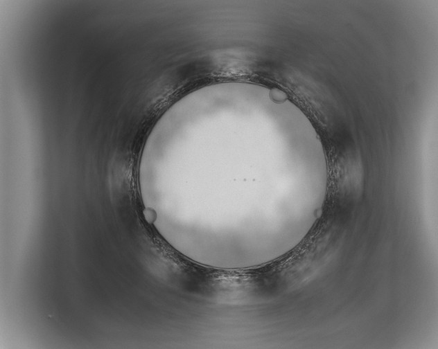 X0000112810415200909181554