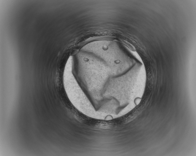 X0000112810416200909181554