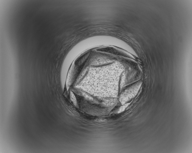 X0000112810419200909181554