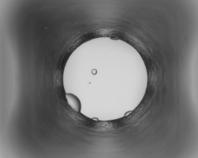 X0000112810421200909181554
