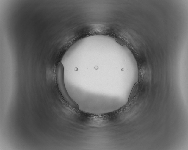 X0000112810423200909181554