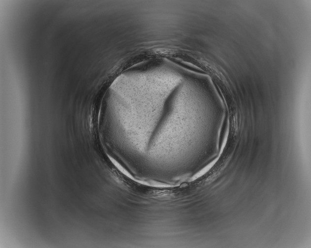 X0000112810424200909181554