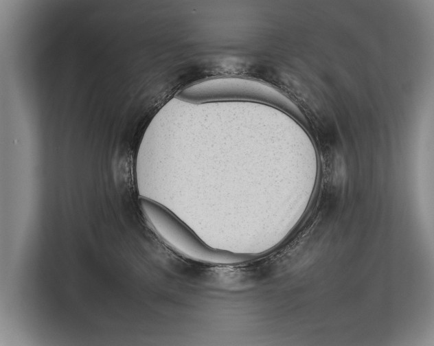 X0000112810425200909181554