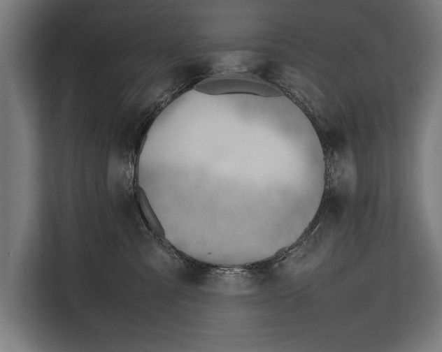 X0000112810427200909181554
