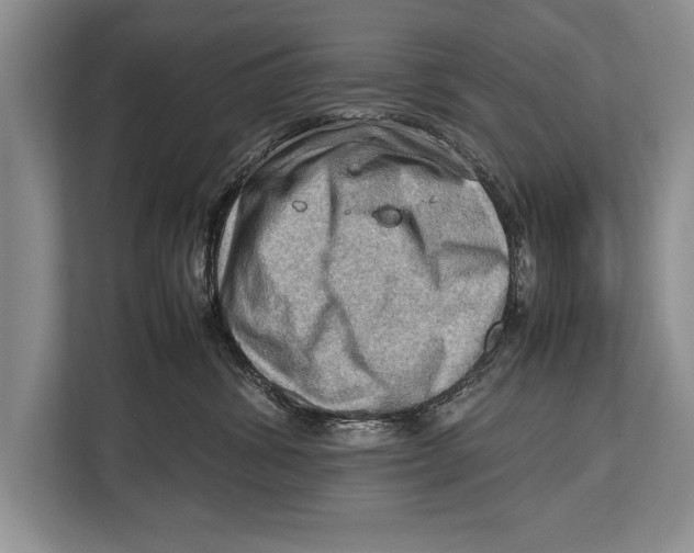 X0000112810428200909181554