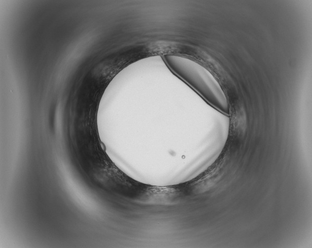 X0000112810429200909181554
