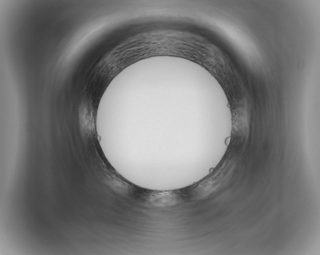 X0000112810431200909181554