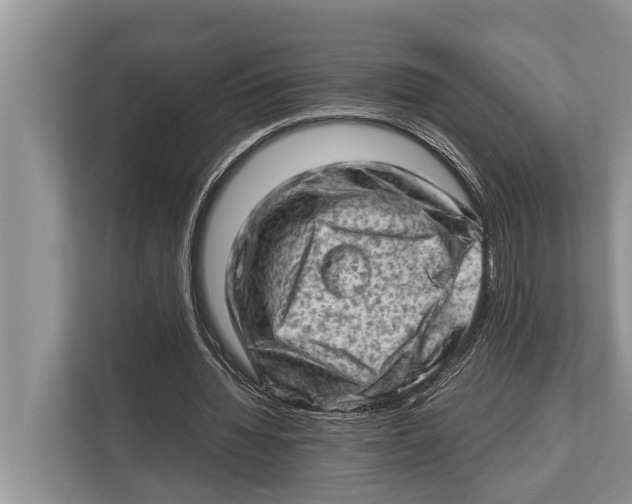 X0000112810436200909181553