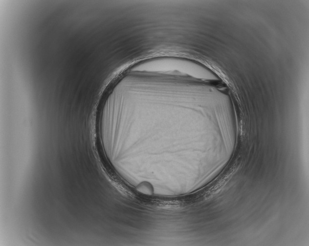X0000112810438200909181553