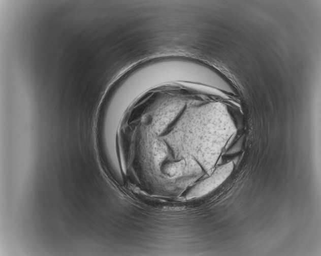 X0000112810440200909181553