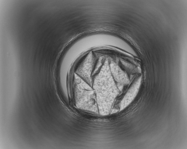 X0000112810444200909181553
