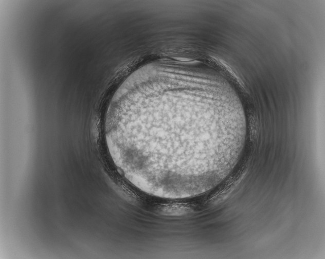 X0000112810451200909181553