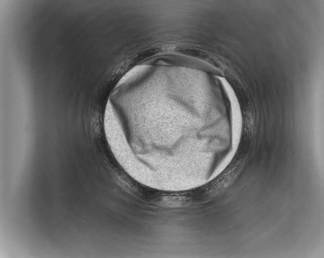 X0000112810470200909181554