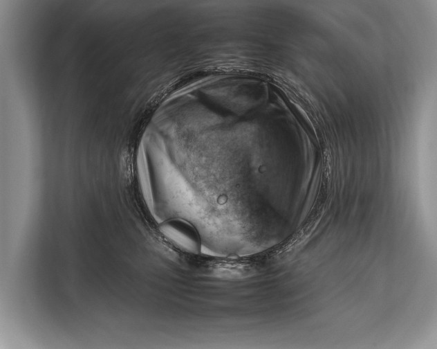 X0000112810471200909181554